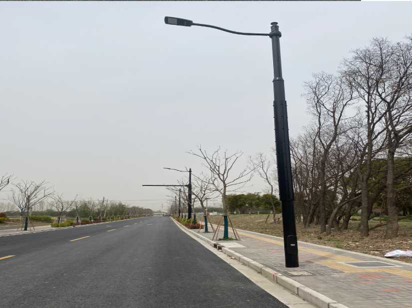 青岛市上海综合杆 太阳能路灯工程